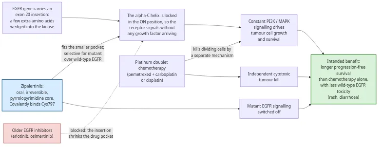 Mechanism of action