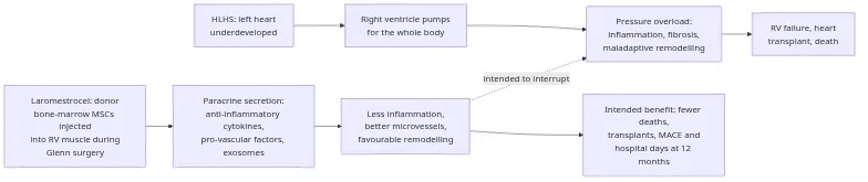 Mechanism of action
