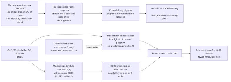 Mechanism of action of CUE-221 in chronic spontaneous urticaria