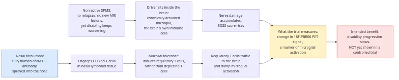 Diagram: in non-active SPMS the driver is chronic microglial activation inside the brain; nasal foralumab engages CD3 on T cells in nasal lymphoid tissue, induces regulatory T cells, which traffic to the brain and damp microglial activation; the trial measures the change in 18F-PBR06 PET signal, and the intended benefit of slower disability progression has not yet been shown in a controlled trial