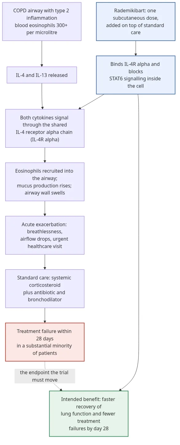 Mechanism of action: IL-4 and IL-13 signal through IL-4R alpha to drive eosinophilic airway inflammation and a COPD exacerbation; rademikibart blocks that receptor with the aim of reducing 28-day treatment failure