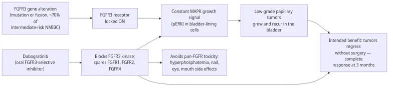 Mechanism of action