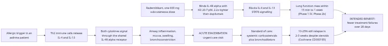 Rademikibart mechanism of action in an acute asthma exacerbation